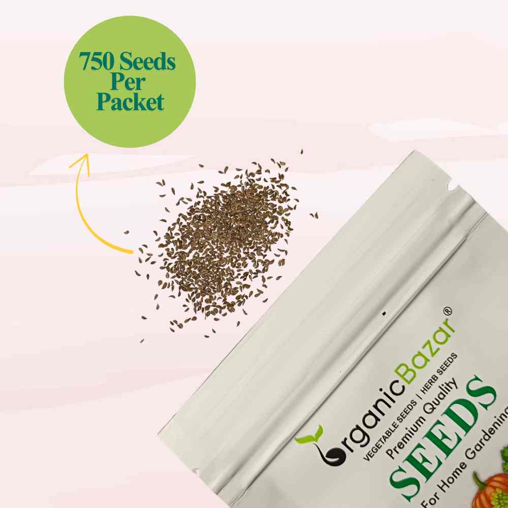 Parsley Seeds - 750 Seeds (Ajmod/अजमोद के बीज)