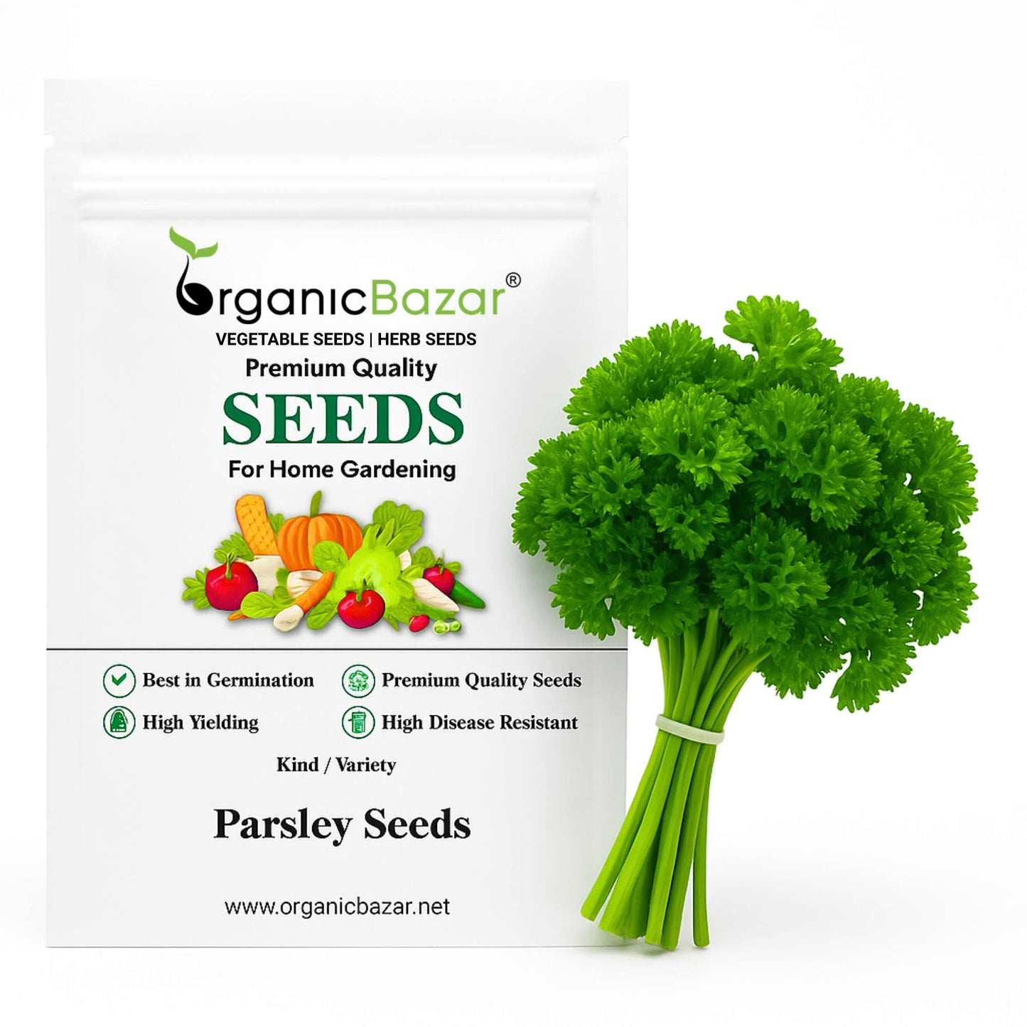 Parsley Seeds - 750 Seeds (Ajmod/अजमोद के बीज)