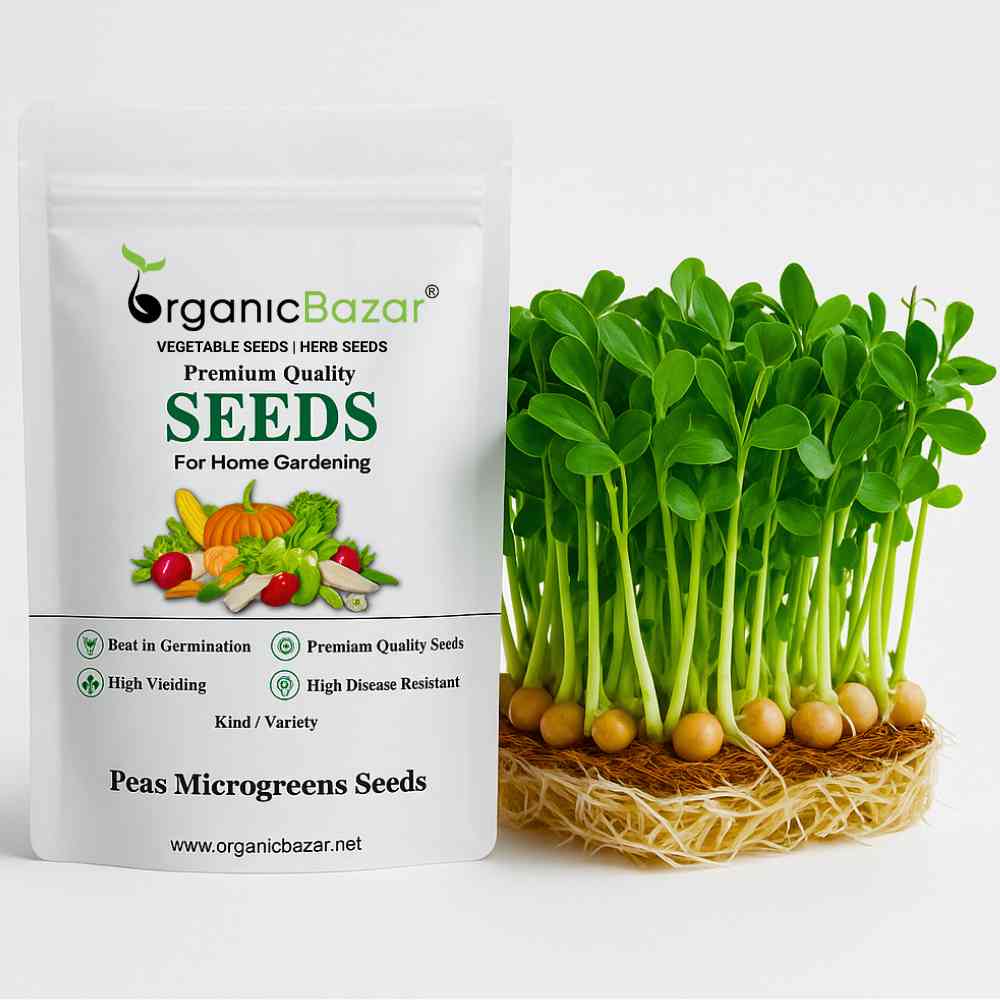 Peas Microgreens Seeds (50g)