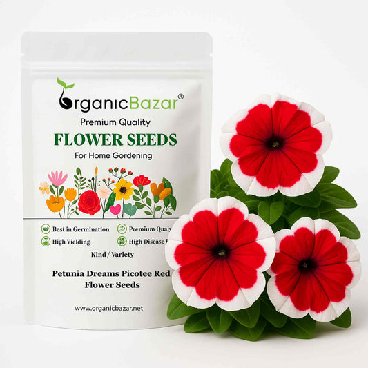 Petunia Dreams Picotee Red Flower Seeds (50 Seeds) High Germination/ Easy To grow/ Perfect for pots, balconies, or Terrace gardens