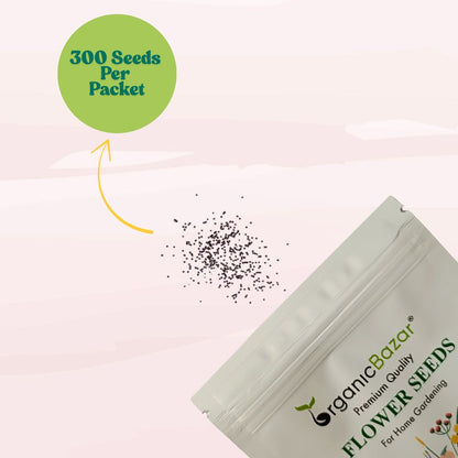 Petunia Dwarf Stars Mix Seeds (300 Seeds) High Germination/ Easy To grow/ Perfect for pots, balconies, or Terrace gardens