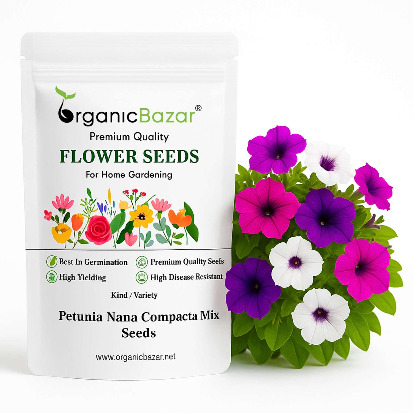 Petunia Nana Compacta Mix Seeds (300 Seeds) High Germination/ Easy To grow/ Perfect for pots, balconies, or Terrace gardens