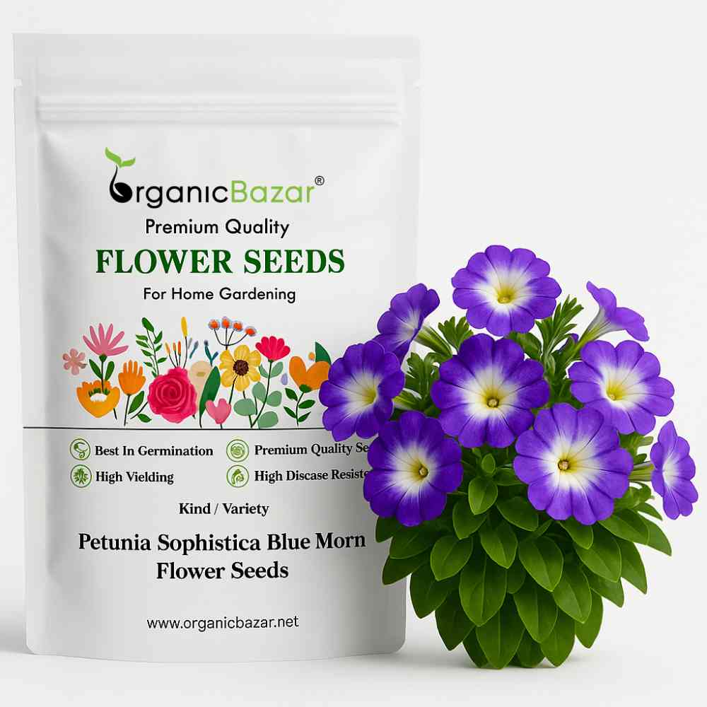 Petunia Sophistica Blue Morn Flower Seeds (30 Seeds) High Germination/ Easy To grow/ Perfect for pots, balconies, or Terrace gardens