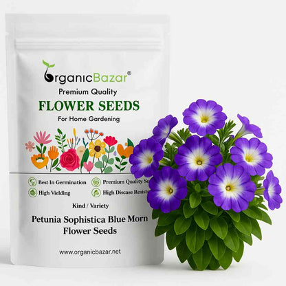 Petunia Sophistica Blue Morn Flower Seeds (30 Seeds) High Germination/ Easy To grow/ Perfect for pots, balconies, or Terrace gardens