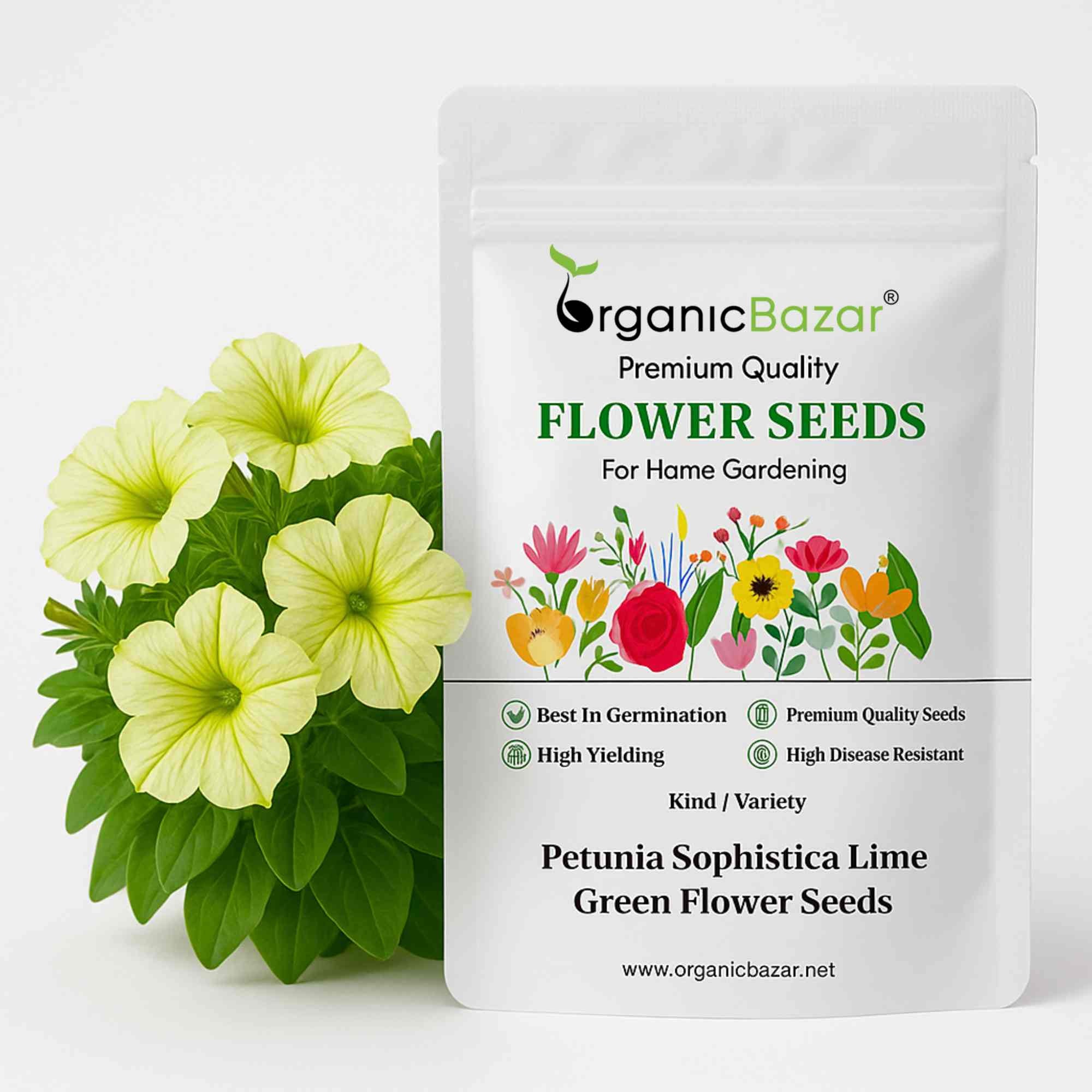 Petunia Sophistica Lime Green Flower Seeds (30 Seeds) High Germination/ Easy To grow/ Perfect for pots, balconies, or Terrace gardens