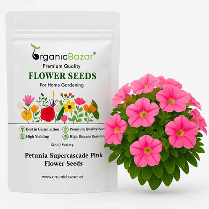 Petunia Supercascade Pink Flower Seeds (50 Seeds) High Germination/ Easy To grow/ Perfect for pots, balconies, or Terrace gardens
