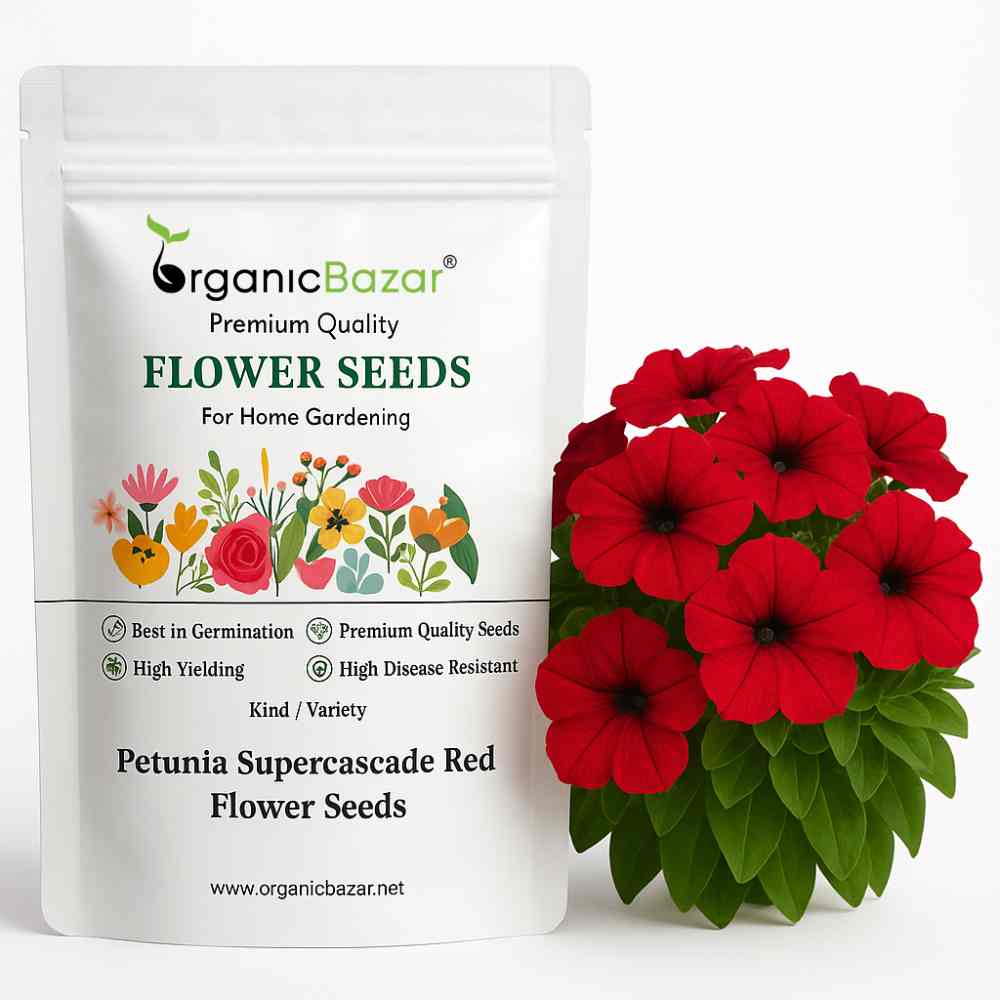 Petunia Supercascade Red Flower Seeds (50 Seeds) High Germination/ Easy To grow/ Perfect for pots, balconies, or Terrace gardens