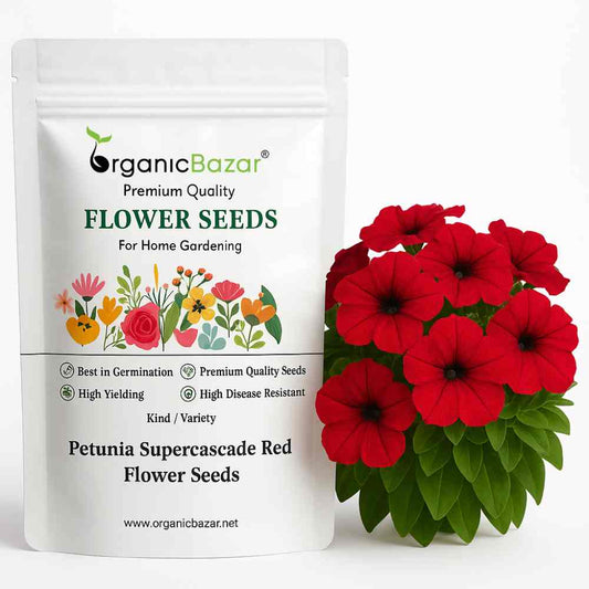 Petunia Supercascade Red Flower Seeds (50 Seeds) High Germination/ Easy To grow/ Perfect for pots, balconies, or Terrace gardens