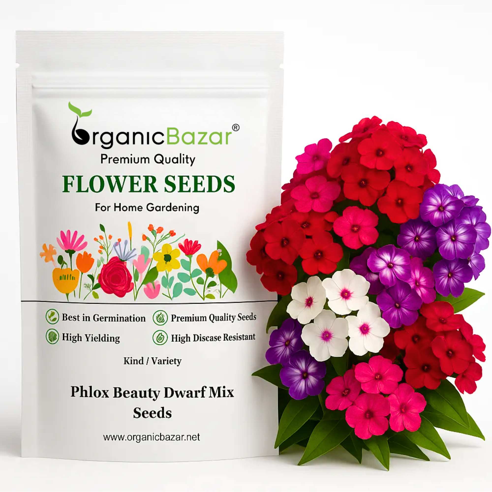 Phlox Beauty Dwarf Mix Seeds (200 Seeds) High Germination/ Easy To grow/ Perfect for pots, balconies, or Terrace gardens