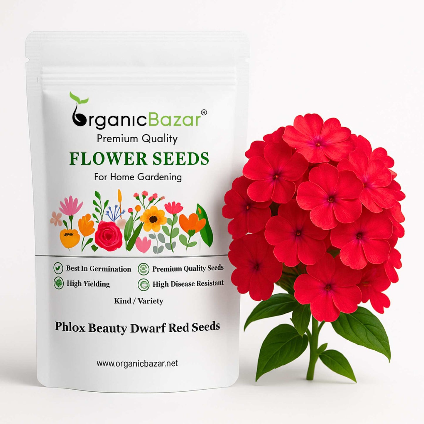 Phlox Beauty Dwarf Red Seeds (200 Seeds) High Germination/ Easy To grow/ Perfect for pots, balconies, or Terrace gardens