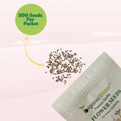 Phlox Beauty Dwarf White Seeds (200 Seeds) High Germination/ Easy To grow/ Perfect for pots, balconies, or Terrace gardens