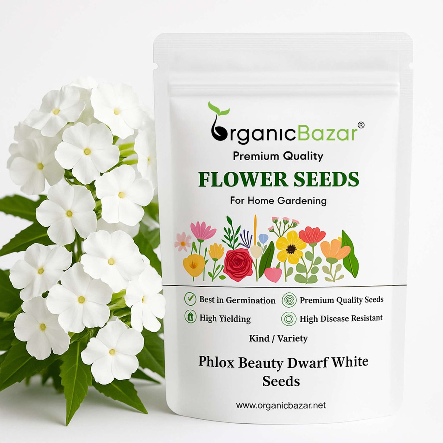 Phlox Beauty Dwarf White Seeds (200 Seeds) High Germination/ Easy To grow/ Perfect for pots, balconies, or Terrace gardens