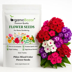Phlox Mixed Color Flower Seeds (200 Seeds) High Germination/ Easy To grow/ Perfect for pots, balconies, or Terrace gardens