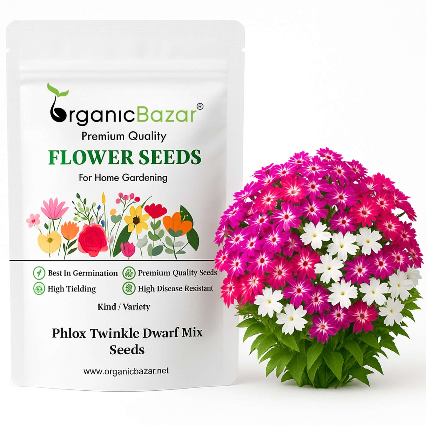 Phlox Twinkle Dwarf Mix Seeds (200 Seeds) High Germination/ Easy To grow/ Perfect for pots, balconies, or Terrace gardens