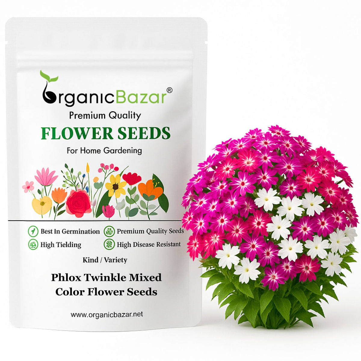 Phlox Twinkle Mixed Color Flower Seeds (200 Seeds) High Germination/ Easy To grow/ Perfect for pots, balconies, or Terrace gardens