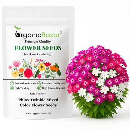 Phlox Twinkle Mixed Color Flower Seeds (200 Seeds) High Germination/ Easy To grow/ Perfect for pots, balconies, or Terrace gardens