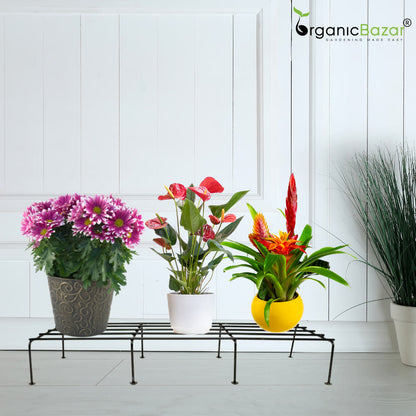 OrganicBazar Metal Plant Stand for Pots | Rust-Resistant Heavy-Duty Rectangular Flower Pot Stand for Garden Decor, Balcony & Indoor Use (Black)