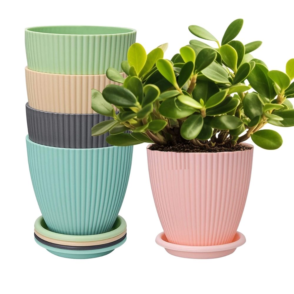 Plastic Flower Pot with Tray (Multicolor, Pack of 5)