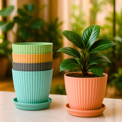 Plastic Flower Pot with Tray (Multicolor, Pack of 5)