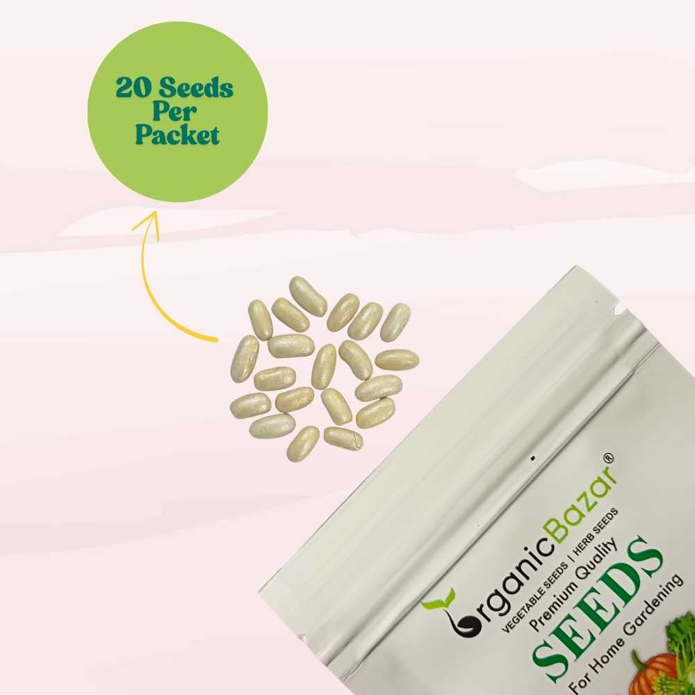 Pole Beans Seeds - 20 Seeds (पोल बीन्स के बीज) Easy To grow, High Germination, High Yield Pole Beans Seeds for Home Gardening