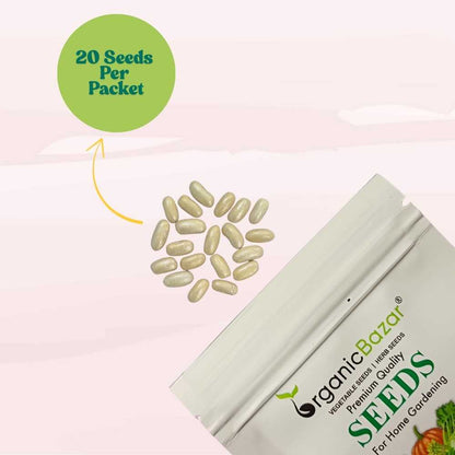 Pole Beans Seeds - 20 Seeds (पोल बीन्स के बीज) Easy To grow, High Germination, High Yield Pole Beans Seeds for Home Gardening