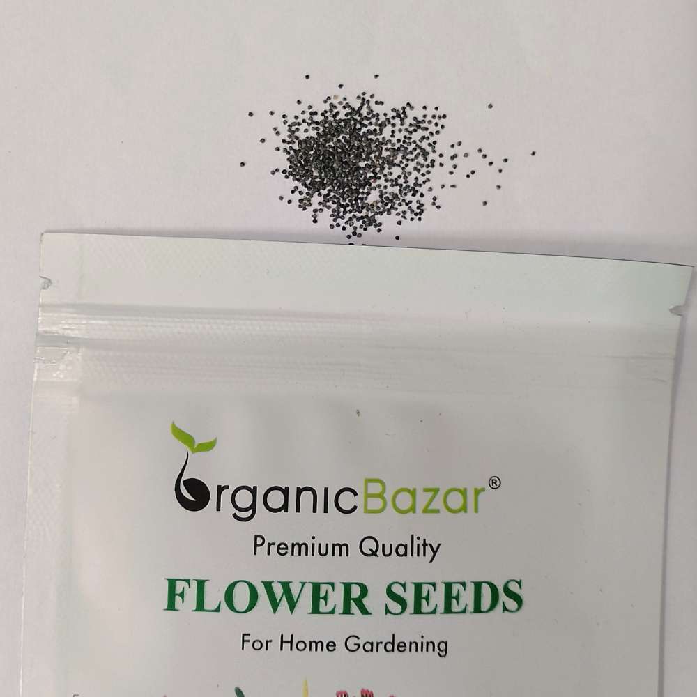 Portulaca Grandiflora (Moss Rose) Double Mix Seeds (500 Seeds) High Germination/ Easy To grow/ Perfect for pots, balconies, or Terrace gardens