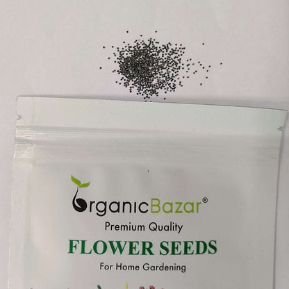 Portulaca Grandiflora (Moss Rose) Double Mix Seeds (500 Seeds) High Germination/ Easy To grow/ Perfect for pots, balconies, or Terrace gardens