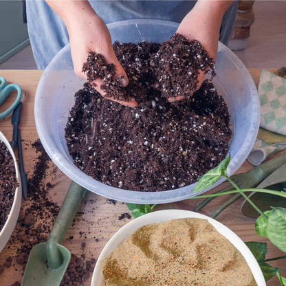 Natural River Sand Multi-Purpose Pure Organic Plants Soil Mix Additive