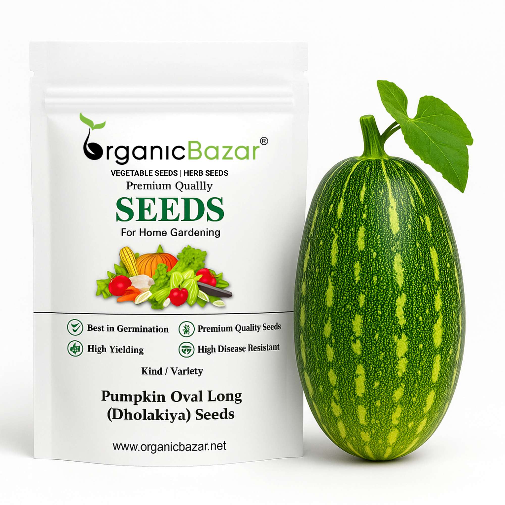 Pumpkin Oval Long (Dholakiya) F1 Hybrid Seeds (12 Seeds) Easy To grow, High Germination, High Yield Kaddu Seeds for Home Gardening