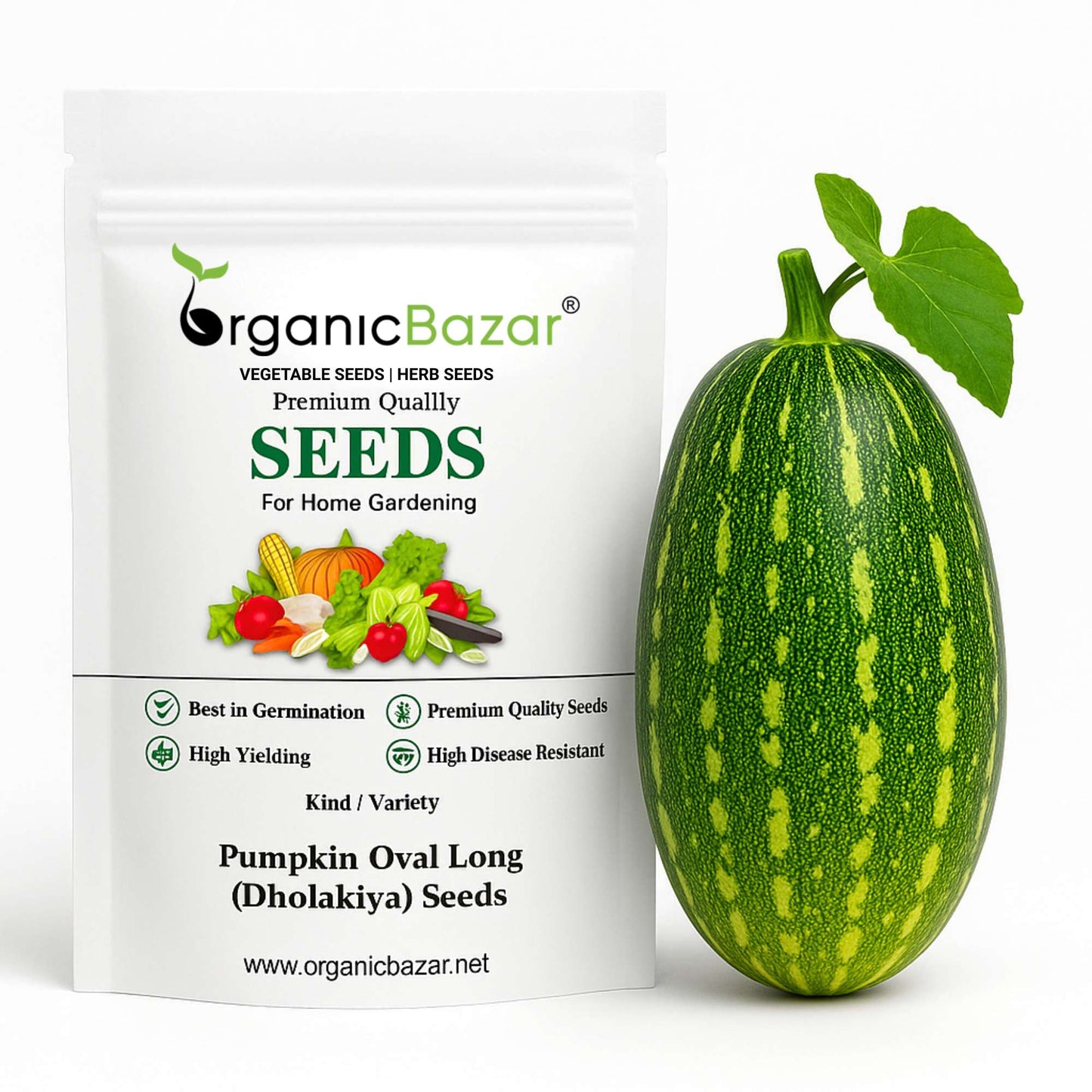 Pumpkin Oval Long (Dholakiya) Seeds (12 Seeds) Easy To grow, High Germination, High Yield Kaddu Seeds for Home Gardening