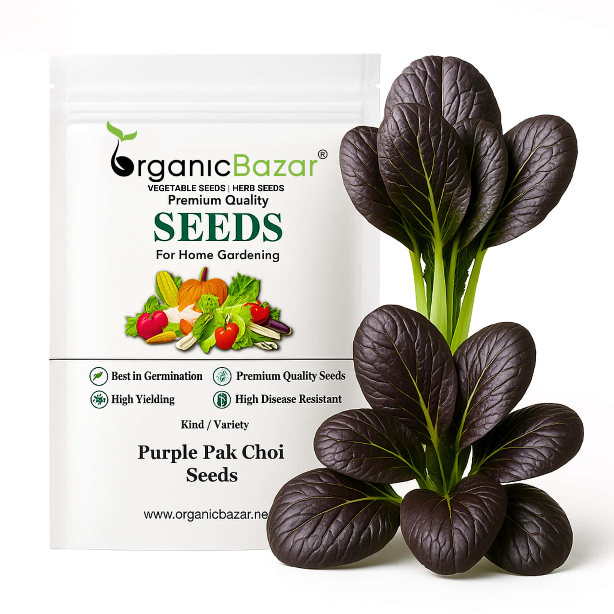 Purple Pak Choi Seeds (100 Seeds)  High germination rate, Perfect for Kitchen gardening
