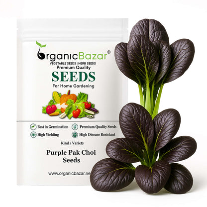 Purple Pak Choi Seeds (100 Seeds)  High germination rate, Perfect for Kitchen gardening