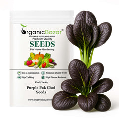 Purple Pak Choi Seeds (100 Seeds)  High germination rate, Perfect for Kitchen gardening
