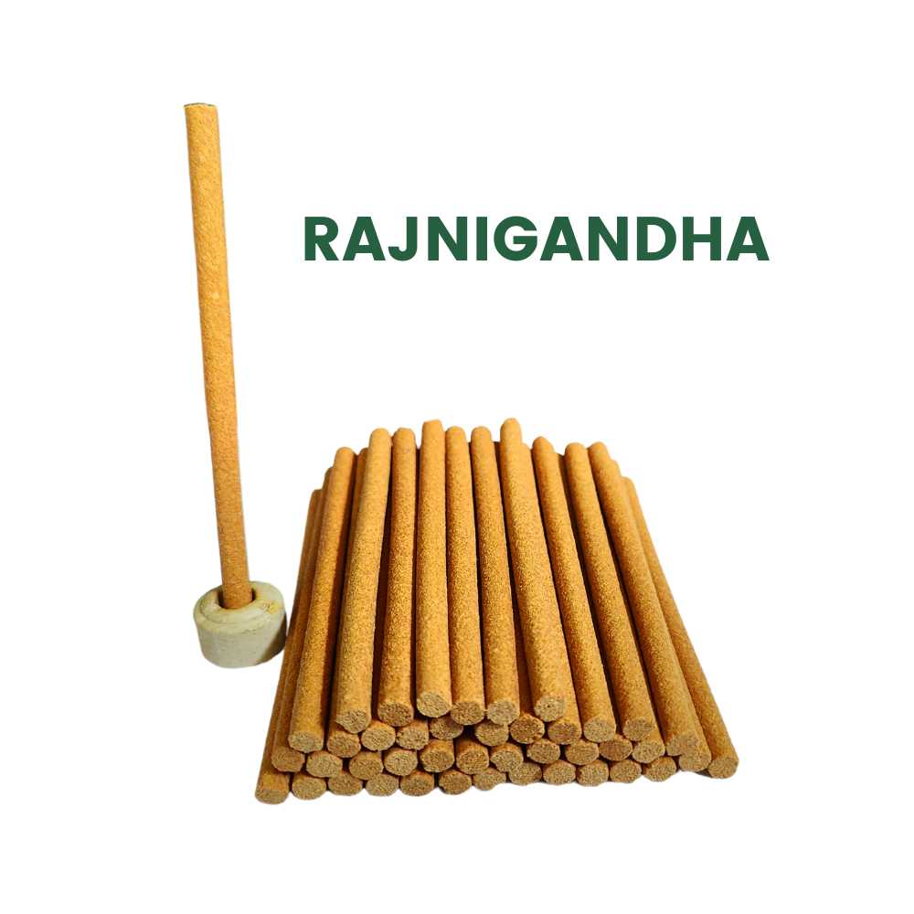 Premium Cow Dung Organic Dhoop Stick With Stand 100 g