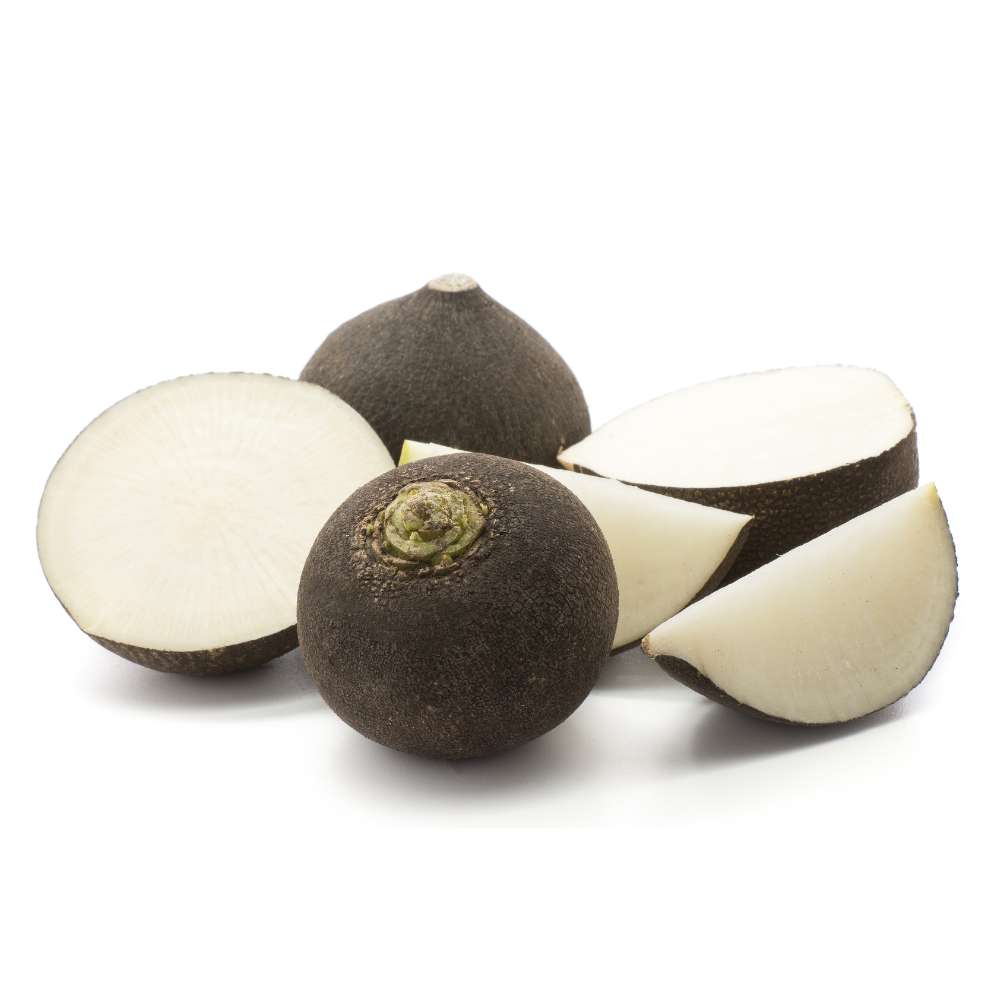 Black Radish Round Seeds - 100 Seeds (kali Mooli/ काली मूली के बीज)