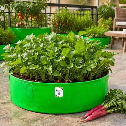 Radish Long Red Seeds (250 Seeds)