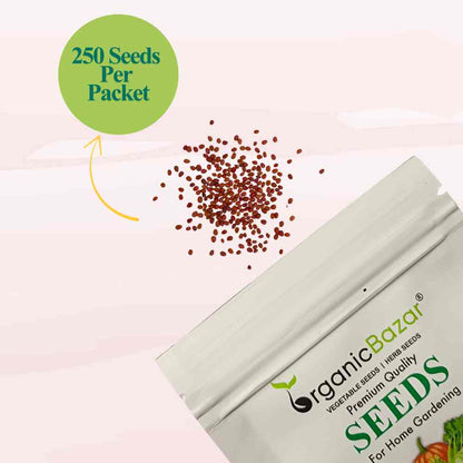 Radish Long Red Seeds (250 Seeds)