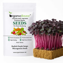 Radish Purple Sango Microgreens Seeds (25g) Easy to Grow, Fresh & Nutty Flavor | OrganicBazar