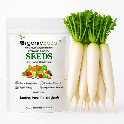 Radish Pusa Chetki Seeds - 250 Seeds (Mooli/मूली के बीज)