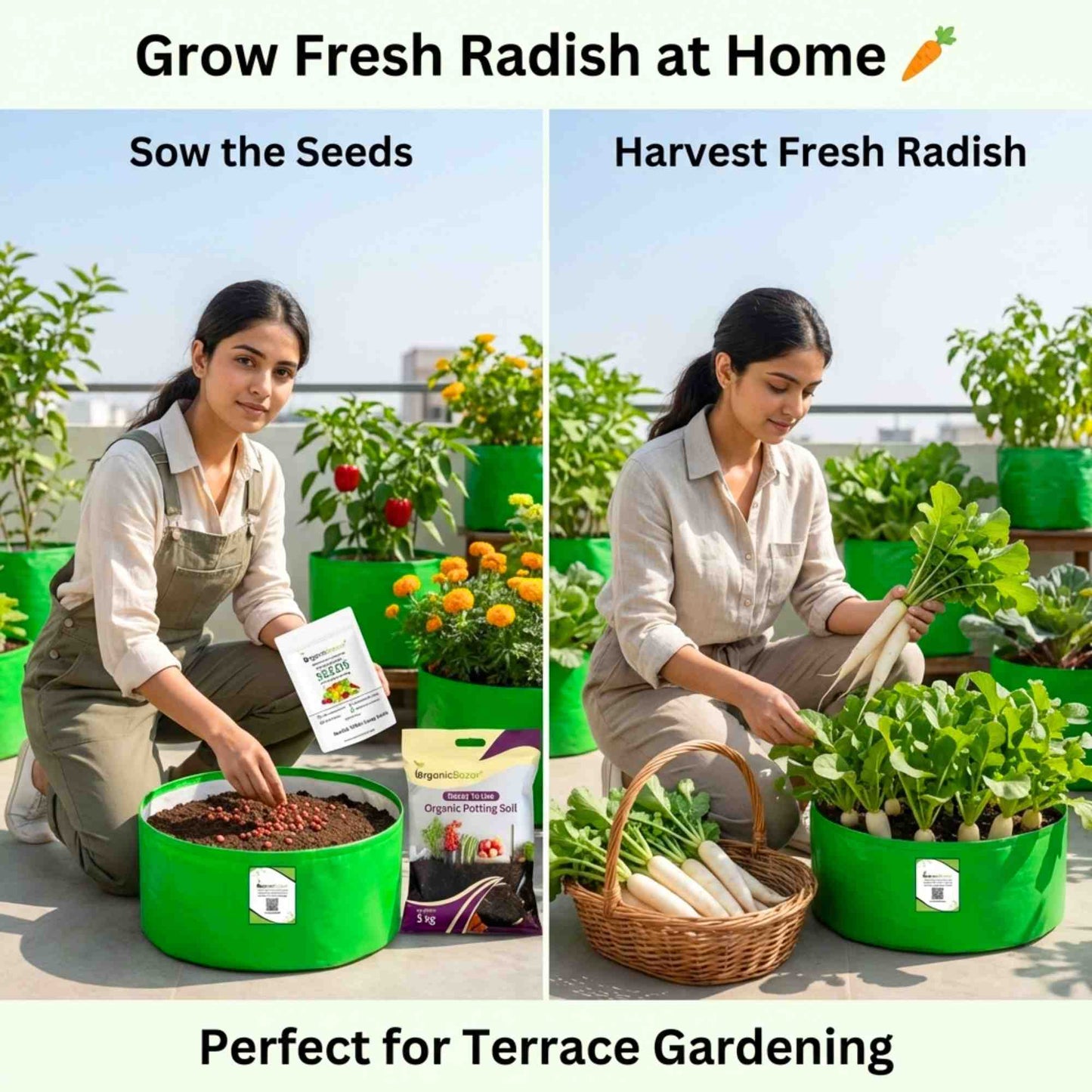 Radish (Mooli) Seeds White Long - 250 Seeds (मूली के बीज)