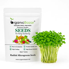 Radish Microgreens Seeds - 50g (Mooli/मूली के बीज)