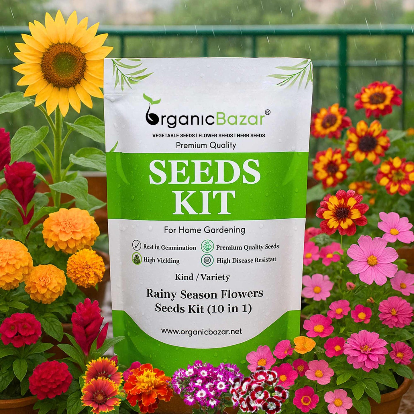 Rainy Season Flowers Seeds kit (10 in 1)