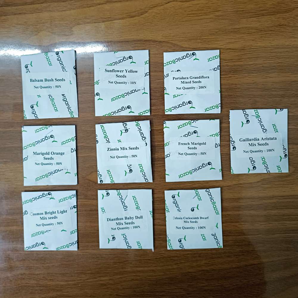 Rainy Season Flowers Seeds kit (10 in 1)