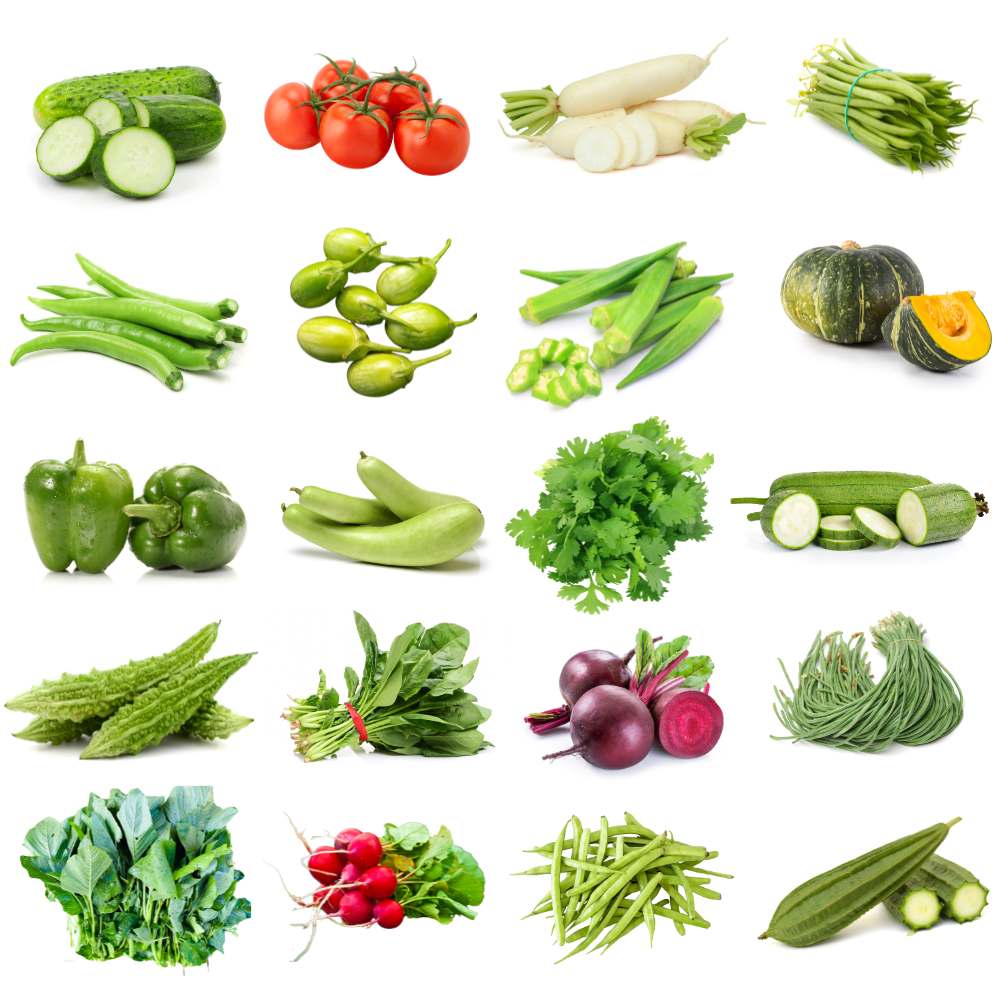 Rainy Season Vegetable Seeds Kit – Pack of 20 Best Vegetable Seeds for Monsoon Gardening | Ideal for Terrace & Kitchen Garden