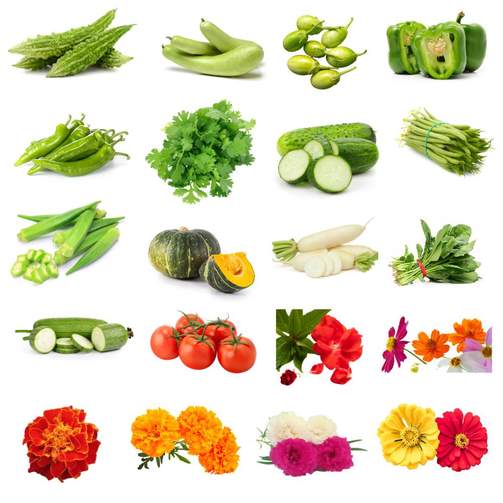Rainy Season Vegetable & Flower Mixed Seeds Kit – 20 Best Varieties for Terrace & Kitchen Gardening
