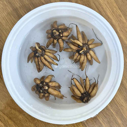 Ranunculus Purple Flower Bulbs (05 Bulbs)