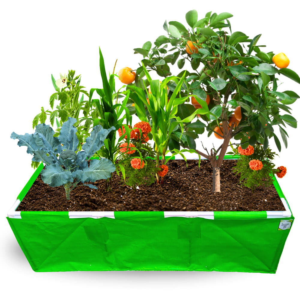 HDPE 60x24x18 Rectangle Grow Bag With Supporting Pvc Pipes Extra Thick Premium Quality Grow Bags