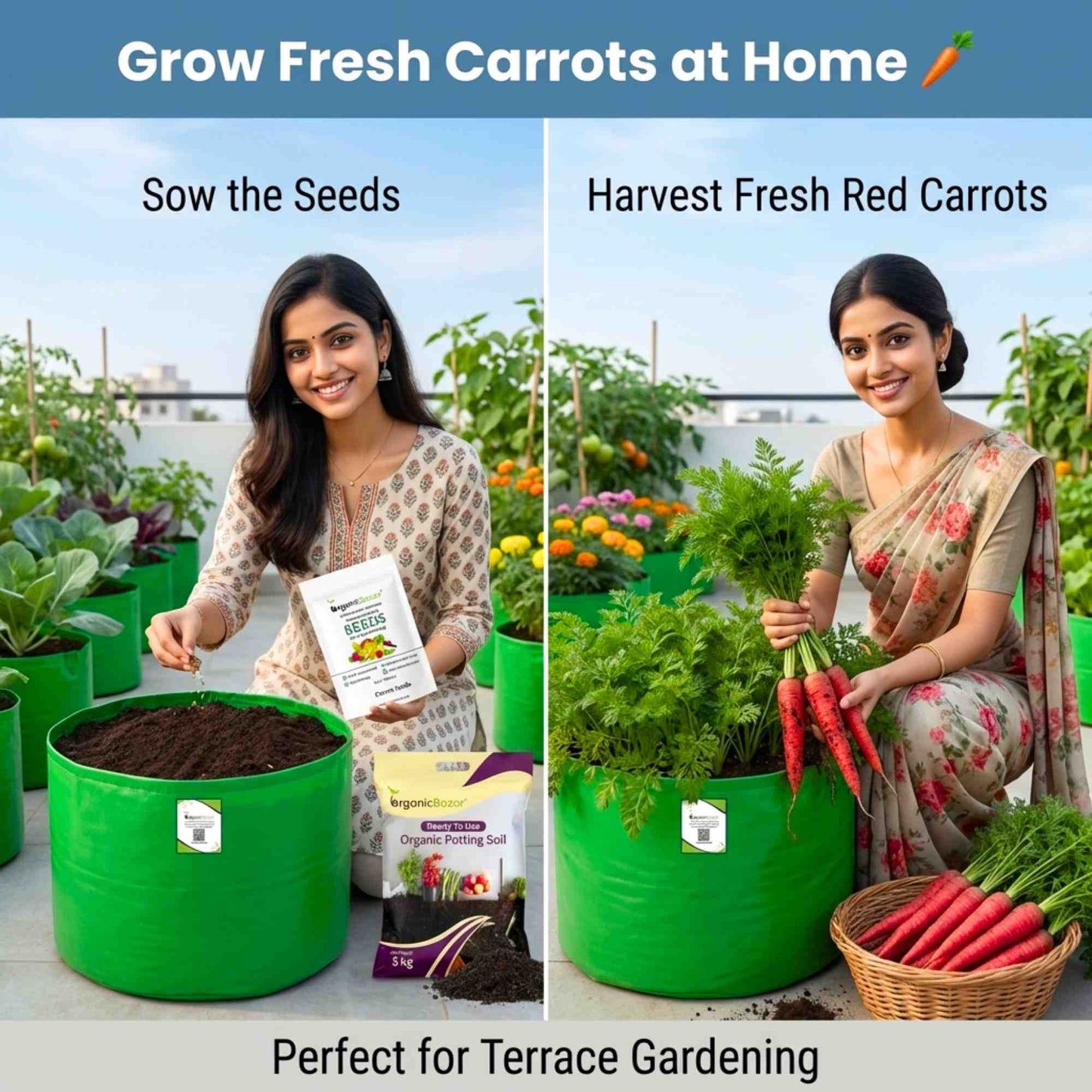 Carrot Red Seeds - 1000 Seeds (Laal Gajar/लाल गाजर के बीज)