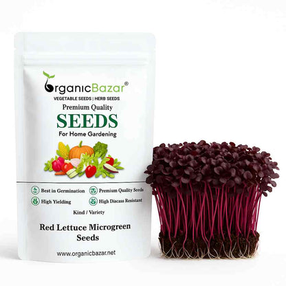 Red Lettuce Microgreen Seeds (05g)