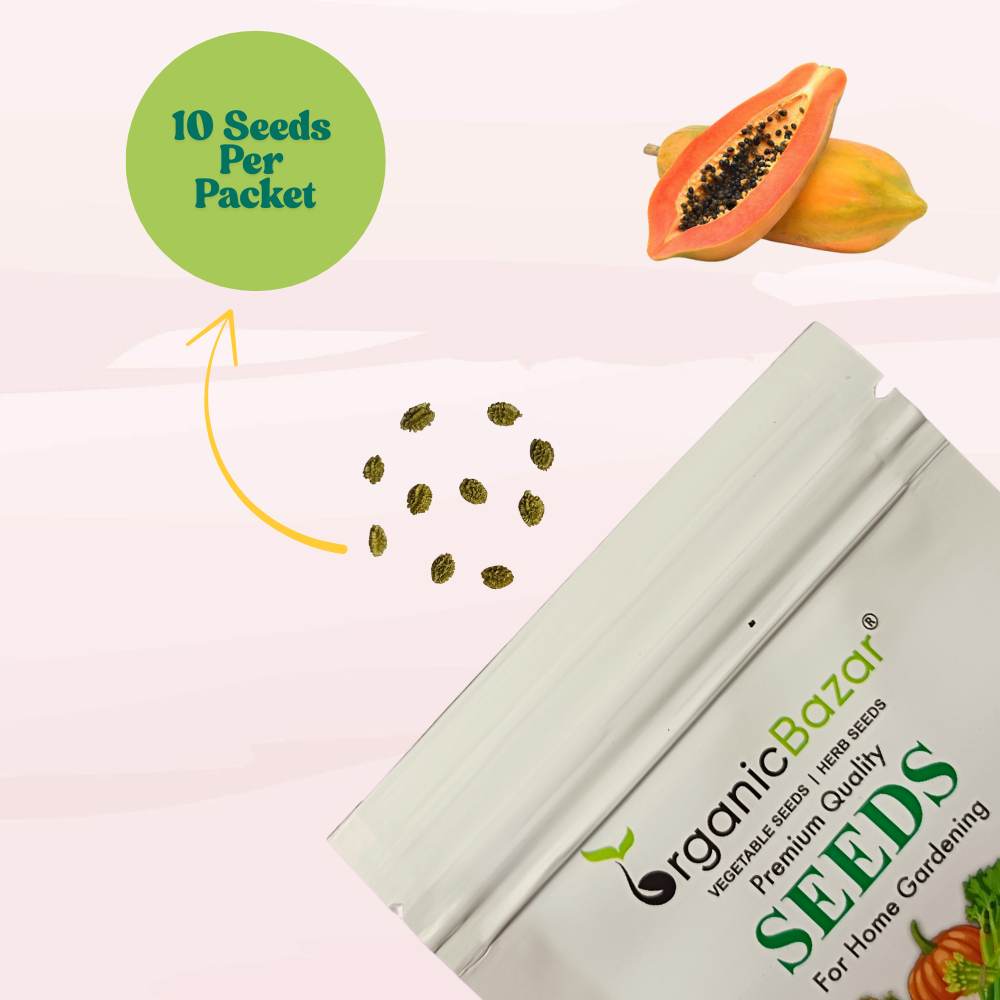 Red Long Papaya Seeds - 10 Seeds (Papita/पपीता के बीज) High Germination, High-yielding and fast-growing